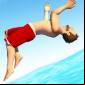 Flip Diving MOD APK
