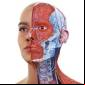 Complete Anatomy Mod Apk
